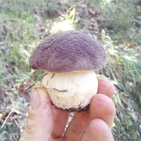 Séjour à la campagne Ca Giulietto Antico Casale In Lunigiana